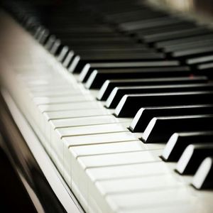 《李淑敏》小说全文阅读
