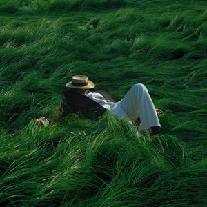 《李淑敏》小说全文阅读
