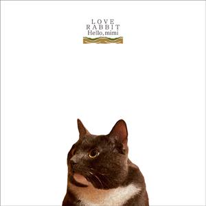 《李淑敏》小说全文阅读
