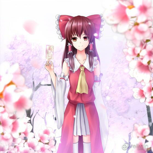 《李淑敏》小说全文阅读
